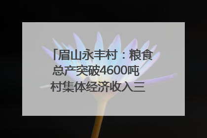眉山永丰村：粮食总产突破4600吨 村集体经济收入三年倍增｜牵挂的村