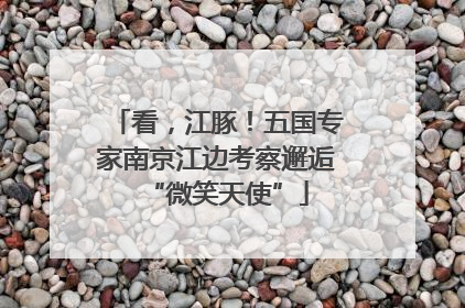 看，江豚！五国专家南京江边考察邂逅“微笑天使”
