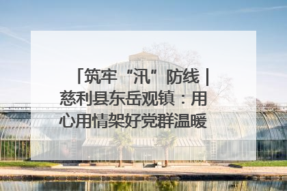 筑牢“汛”防线｜慈利县东岳观镇：用心用情架好党群温暖悠长的“连心桥”