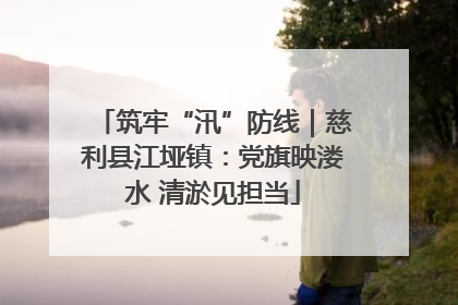 筑牢“汛”防线｜慈利县江垭镇：党旗映溇水 清淤见担当