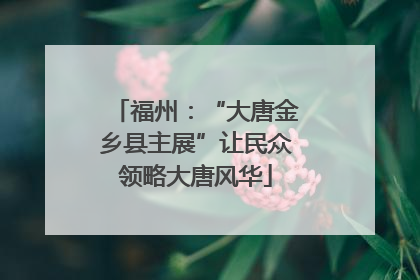 福州：“大唐金乡县主展”让民众领略大唐风华