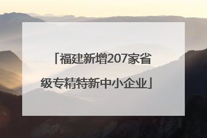福建新增207家省级专精特新中小企业