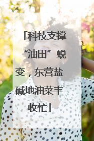 科技支撑“油田”蜕变，东营盐碱地油菜丰收忙