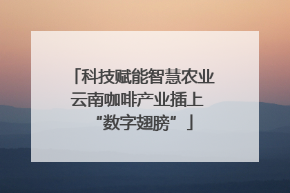 科技赋能智慧农业 云南咖啡产业插上“数字翅膀”