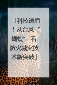 科技铸盾！从台风“蝴蝶” 看防灾减灾技术新突破