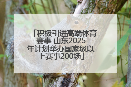 积极引进高端体育赛事 山东2025年计划举办国家级以上赛事200场