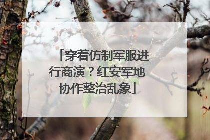 穿着仿制军服进行商演？红安军地协作整治乱象