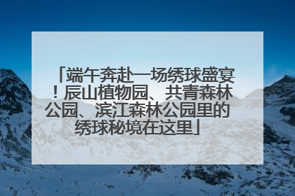 端午奔赴一场绣球盛宴！辰山植物园、共青森林公园、滨江森林公园里的绣球秘境在这里
