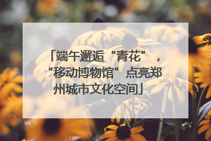 端午邂逅“青花”，“移动博物馆”点亮郑州城市文化空间