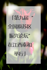 第九届“全国原苏区振兴论坛”在江西泰和举行