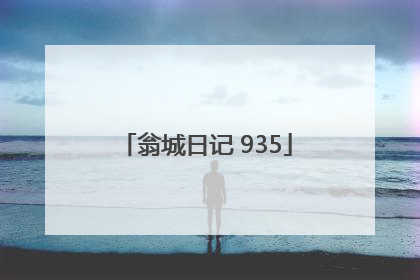 翁城日记 935