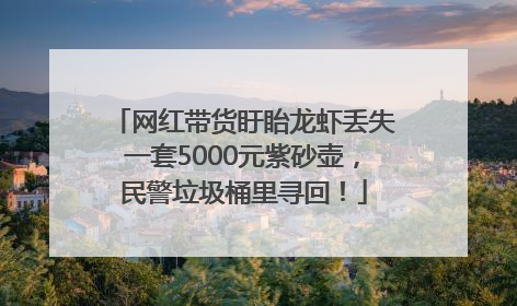 网红带货盱眙龙虾丢失一套5000元紫砂壶，民警垃圾桶里寻回！