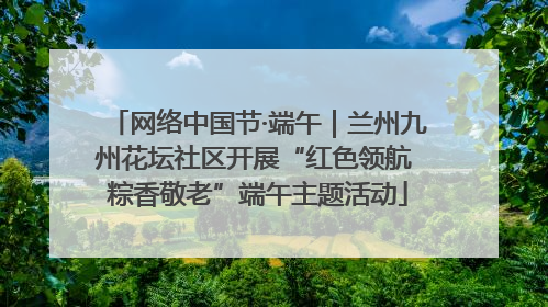 网络中国节·端午｜兰州九州花坛社区开展“红色领航 粽香敬老”端午主题活动