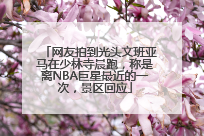 网友拍到光头文班亚马在少林寺晨跑，称是离NBA巨星最近的一次，景区回应
