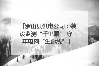 罗山县供电公司：装设监测“千里眼” 守牢电网“生命线”