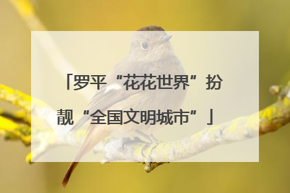 罗平“花花世界”扮靓“全国文明城市”