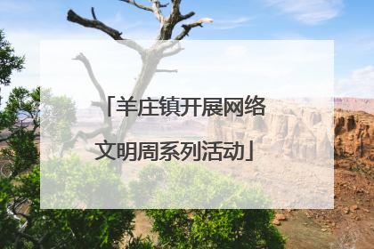 羊庄镇开展网络文明周系列活动