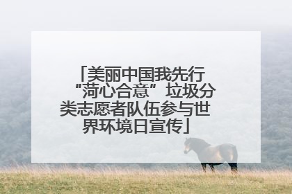 美丽中国我先行 “菏心合意”垃圾分类志愿者队伍参与世界环境日宣传