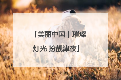 美丽中国｜璀璨灯光 扮靓津夜