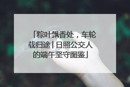 粽叶飘香处，车轮载归途│日照公交人的端午坚守图鉴