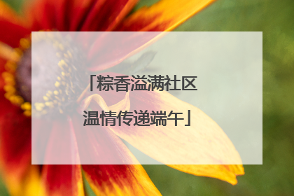 粽香溢满社区 温情传递端午
