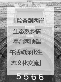 粽香飘两岸 生态系乡情 奉台两地端午活动深化生态文化交流