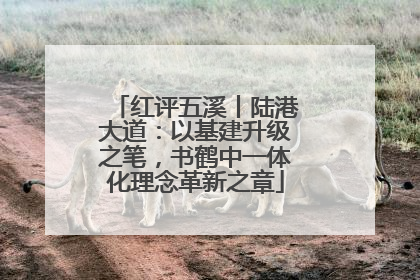 红评五溪丨陆港大道：以基建升级之笔，书鹤中一体化理念革新之章