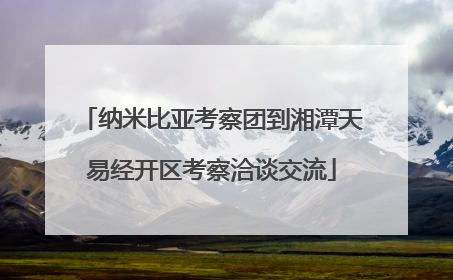 纳米比亚考察团到湘潭天易经开区考察洽谈交流