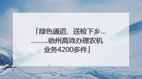 绿色通道、送检下乡…………德州高效办理农机业务4200多件