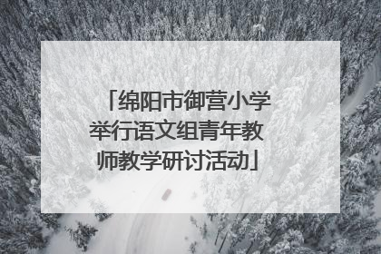 绵阳市御营小学举行语文组青年教师教学研讨活动