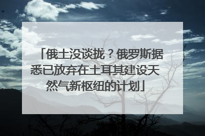 俄土没谈拢？俄罗斯据悉已放弃在土耳其建设天然气新枢纽的计划