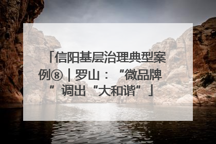 信阳基层治理典型案例⑧｜罗山：“微品牌”调出“大和谐”