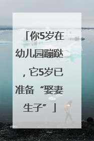 你5岁在幼儿园蹦跶，它5岁已准备“娶妻生子”
