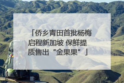 侨乡青田首批杨梅启程新加坡 保鲜提质售出“金果果”