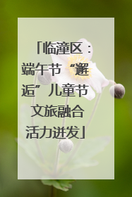 临潼区：端午节“邂逅”儿童节 文旅融合活力迸发