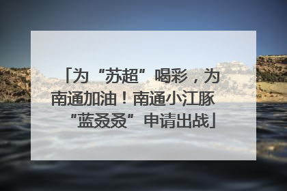 为“苏超”喝彩，为南通加油！南通小江豚“蓝叒叒”申请出战