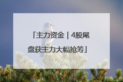 主力资金｜4股尾盘获主力大幅抢筹