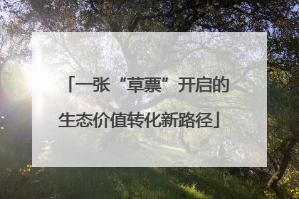 一张“草票”开启的生态价值转化新路径