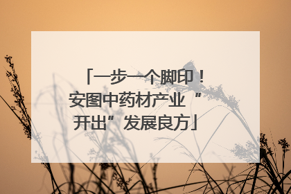 一步一个脚印！安图中药材产业“开出”发展良方