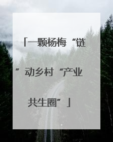 一颗杨梅“链”动乡村“产业共生圈”