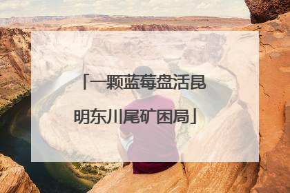 一颗蓝莓盘活昆明东川尾矿困局