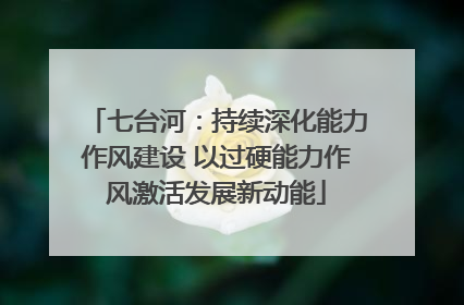 七台河：持续深化能力作风建设 以过硬能力作风激活发展新动能