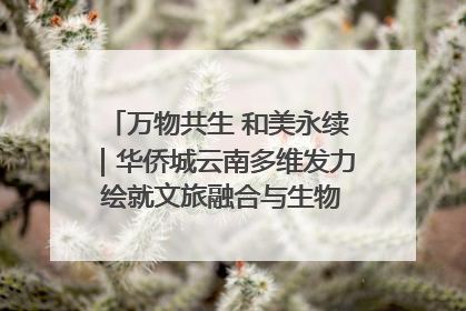 万物共生 和美永续｜华侨城云南多维发力 绘就文旅融合与生物多样性保护新图景