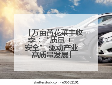万亩黄花菜丰收季：“质量 + 安全” 驱动产业高质量发展