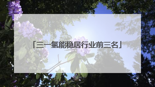 三一氢能稳居行业前三名