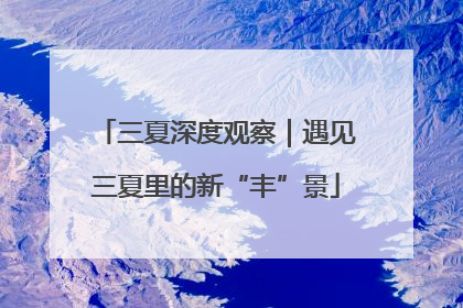 三夏深度观察｜遇见三夏里的新“丰”景
