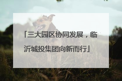 三大园区协同发展，临沂城投集团向新而行