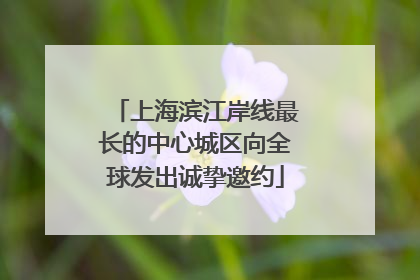 上海滨江岸线最长的中心城区向全球发出诚挚邀约