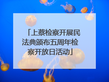 上蔡检察开展民法典颁布五周年检察开放日活动