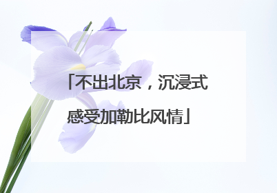 不出北京，沉浸式感受加勒比风情